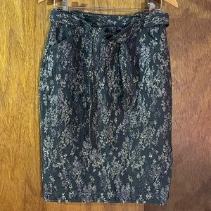 BANANA REPUBLIC Gray Silver Metallic Skirt Sz 6